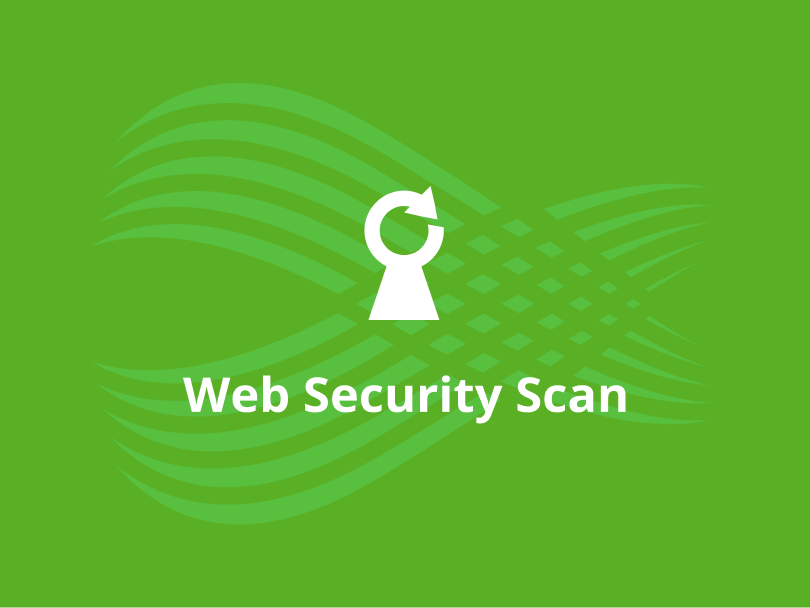 Web Security Scan